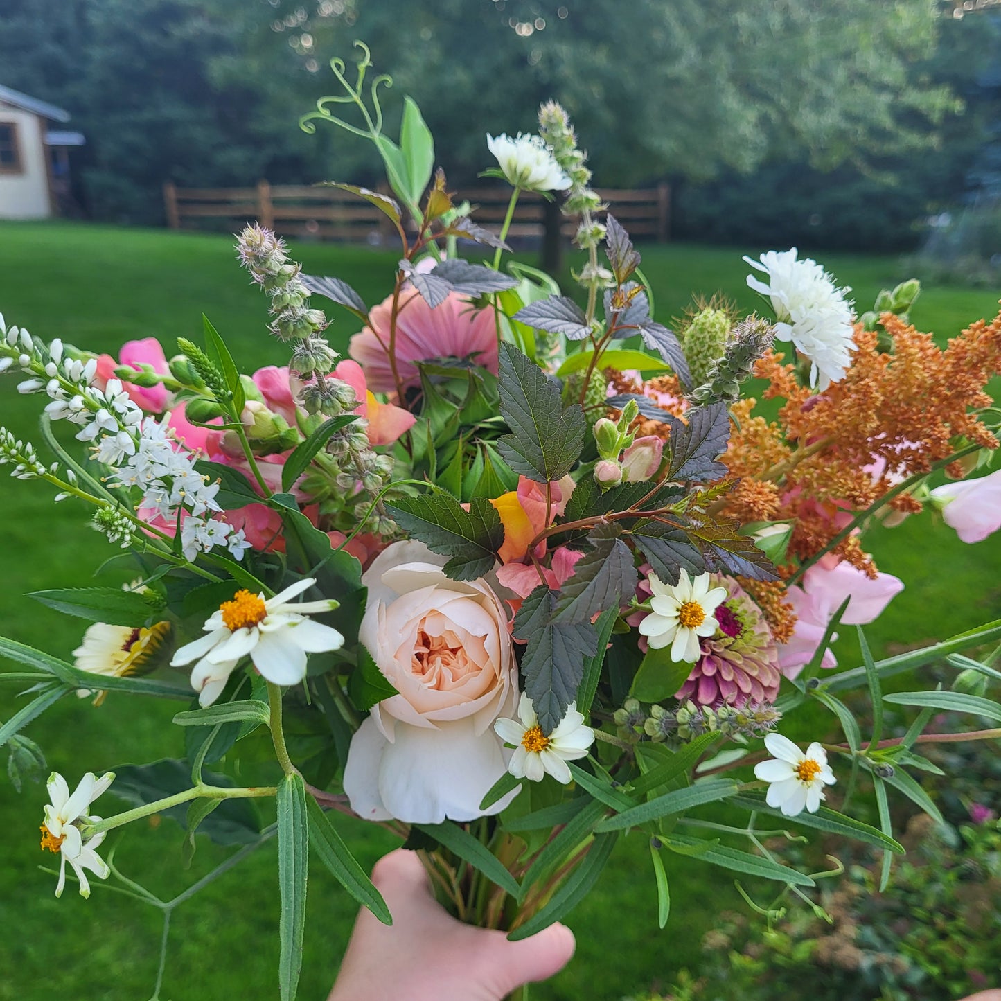 Biweekly Flower Club